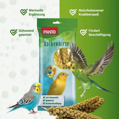 PANTO Kolbenhirse - naturbelassener für Kanarienvögel & Papageien