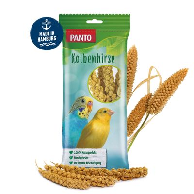 PANTO Kolbenhirse - naturbelassener für Kanarienvögel & Papageien