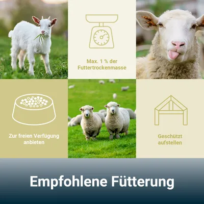 PANTO Schaf KupferFrei Mineralleckschale L92 Ö – für Schafe & Ziegen PANTO Schaf KupferFrei Mineralleckschale L92 Ö – für Schafe & Ziegen