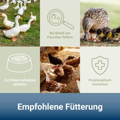PANTO MilbenRein – Hühner- Geflügelfutter zur natürlichen Milbenreduktion