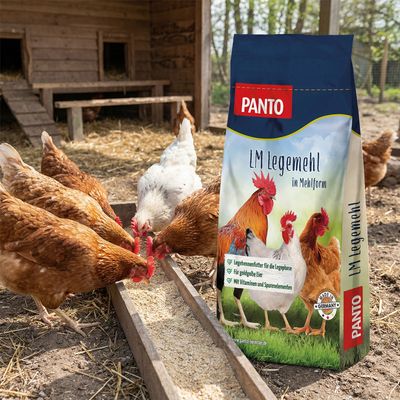 PANTO LM Legemehl – Legehennenfutter als Alternative zu Pellets