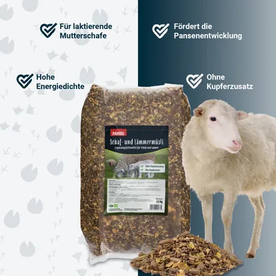 PANTO Schaf- & Lämmermüsli – strukturreiches Ergänzungsfutter