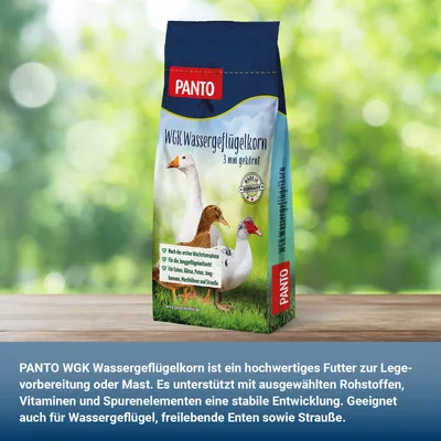 PANTO WGK Wassergeflügelkorn – Folgefutter für Enten und Gänse PANTO WGK Wassergeflügelkorn – Folgefutter für Enten und Gänse