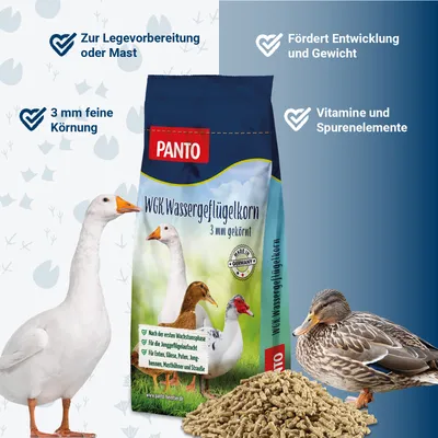 PANTO WGK Wassergeflügelkorn – Folgefutter für Enten und Gänse PANTO WGK Wassergeflügelkorn – Folgefutter für Enten und Gänse