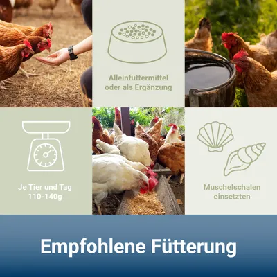 PANTO LMK Legemehlkorn – Legehennenfutter mit Vitaminen & Mineralstoffen PANTO LMK Legemehlkorn – Legehennenfutter mit Vitaminen & Mineralstoffen