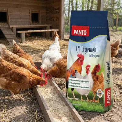 PANTO LM Legemehl – Legehennenfutter als Alternative zu Pellets PANTO LM Legemehl – Legehennenfutter als Alternative zu Pellets