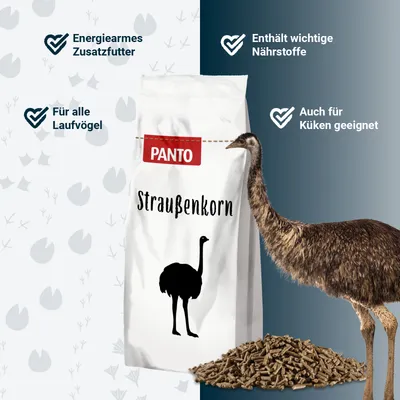 PANTO Straußenkorn – Spezialpellets für Strauße, Emus & Nandus PANTO Straußenkorn – Spezialpellets für Strauße, Emus & Nandus
