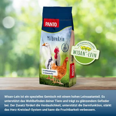 PANTO MilbenRein – Hühner- Geflügelfutter zur natürlichen Milbenreduktion PANTO MilbenRein – Hühner- Geflügelfutter zur natürlichen Milbenreduktion