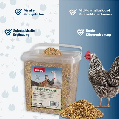 PANTO GKM Geflügelkörnermischung – Geflügelfutter mit Sonnenblumenkernen