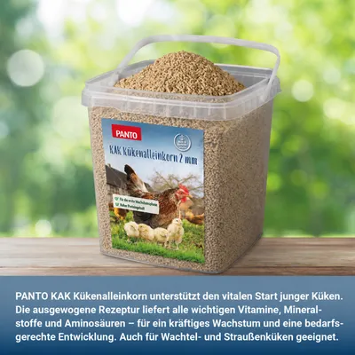 PANTO KAK Kükenalleinkorn – Starterfutter mit Eiweiß & Aminosäuren