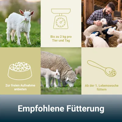 PANTO Schäferstolz – Hochwertiges Kraftfutter für Schafe