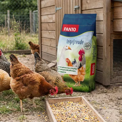 PANTO Legefreude – Hühnerfutter für die gesamte Legeperiode mit Vitaminen