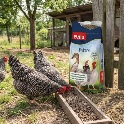 PANTO Unikorn – Allround-Futter für Geflügel unterstützt Aufzucht und Mast PANTO Unikorn – Allround-Futter für Geflügel unterstützt Aufzucht und Mast