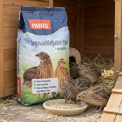 PANTO Legewachtel Plus – Spezialfutter für Legewachteln