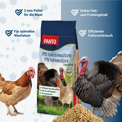 PANTO HMK/PMK Hähnchen- und Putenmastkorn – Mastfutter für Hähnchen & Puten PANTO HMK/PMK Hähnchen- und Putenmastkorn – Mastfutter für Hähnchen & Puten