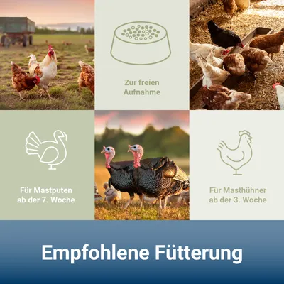 PANTO HMK/PMK Hähnchen- und Putenmastkorn – Mastfutter für Hähnchen & Puten PANTO HMK/PMK Hähnchen- und Putenmastkorn – Mastfutter für Hähnchen & Puten