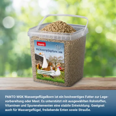 PANTO WGK Wassergeflügelkorn – Folgefutter für Enten und Gänse
