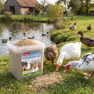 PANTO WGK Wassergeflügelkorn – Folgefutter für Enten und Gänse