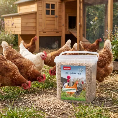 PANTO LMK Legemehlkorn – Legehennenfutter mit Vitaminen & Mineralstoffen
