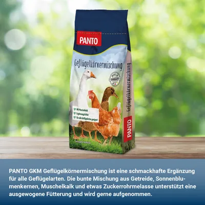 PANTO GKM Geflügelkörnermischung – Geflügelfutter mit Sonnenblumenkernen