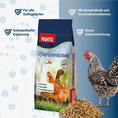 PANTO GKM Geflügelkörnermischung – Geflügelfutter mit Sonnenblumenkernen