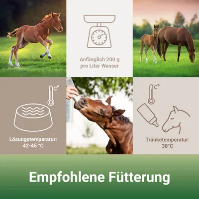 PANTO Fohlenmilch – mit wichtigen Vitamine & Mineralstoffe für Wachstum
