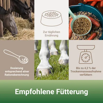 PANTO Pferdemineral – Rundumversorgung mit Mineralstoffen für Pferde