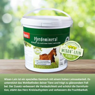 PANTO Pferdemineral – Rundumversorgung mit Mineralstoffen für Pferde