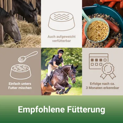 PANTO Wisan-Mais – Pferdefutter aufgeschlossener Mais für mehr Energie