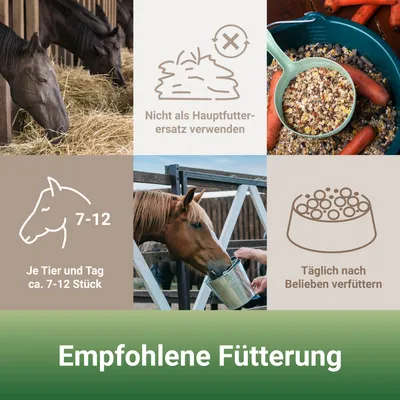 PANTO Leckerli Kräuter-Hagebutte – Pferdeleckerli - Aromatische Belohnung