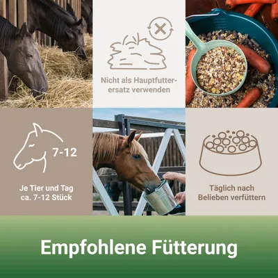 PANTO Leckerli Apfel-Karotte – Pferdeleckerli fruchtige Belohnung