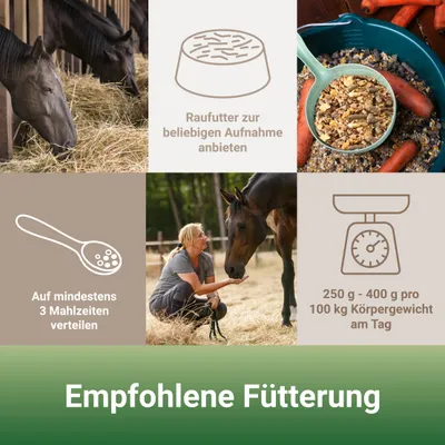 PANTO Apfelmüsli - Pferdemüsli fruchtige Mischung mit Apfel