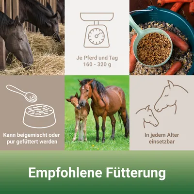 PANTO Wisan-Lein – Pferdefutter aus Leinsaat für Verdauung & Fell