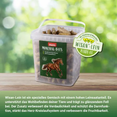 PANTO Mineral-Bits 16 mm – Pferdeleckerli -Mineralfutter in Leckerli-Form