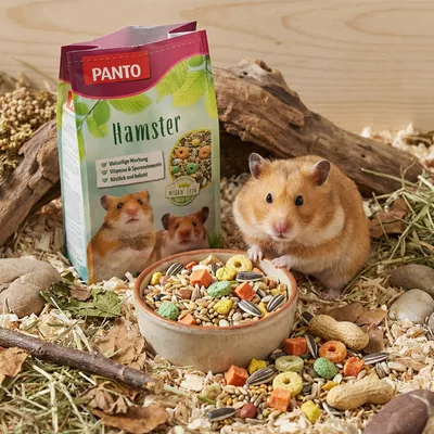 PANTO Hamsterfutter – Nagerfutter mit Getreide & Pellets für Hamster
