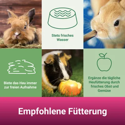 PANTO PANTO Premiumheu - Wiesenheu für Kaninchen & Nager