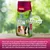 PANTO Meerschweinchenfutter – Nagerfutter Pellets mit Vitamin C