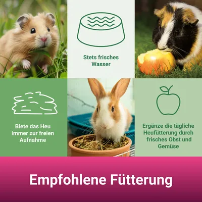 PANTO PANTO Apfelwiese – Heu mit Apfelstückchen Nagerfutter