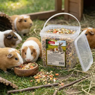 PANTO Nager-Krokant-Mix Premium – bunte Mischung für Nager & Kaninchen