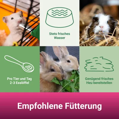 PANTO Nager-Krokant-Mix Premium – bunte Mischung für Nager & Kaninchen
