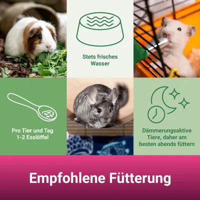 PANTO Chinchillafutter – Pelletfutter mit Luzerne & Omega-3 für Chinchilla
