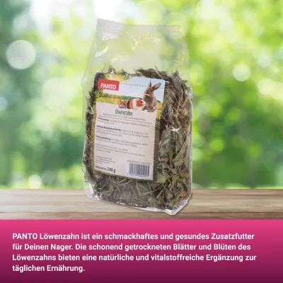 PANTO Löwenzahn - Snack für Nager und Zwergkaninchen