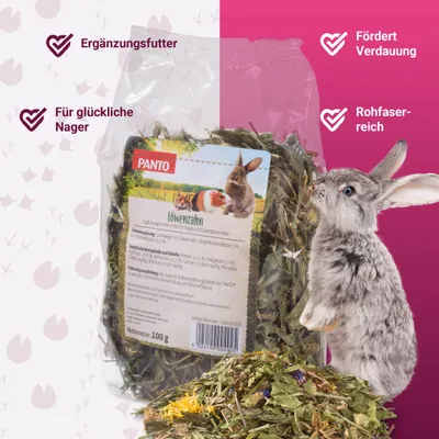 PANTO Löwenzahn - Snack für Nager und Zwergkaninchen