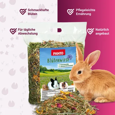 PANTO Blütenwiese - Heu mit Blüten Nagerfutter für Kaninchen & Nager
