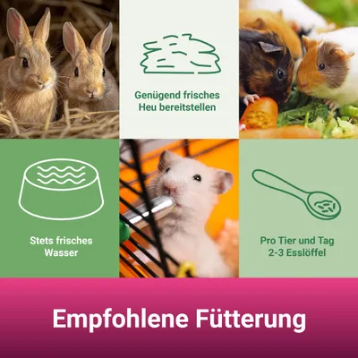 PANTO Naturgenuss getreidefrei - Nagerfutter mit Möhren & Johannisbrot