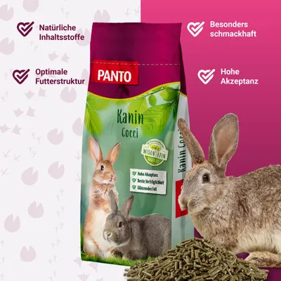 PANTO Kaninchenfutter Cocci – ausgewogenes Futter für Mastkaninchen PANTO Kaninchenfutter Cocci – ausgewogenes Futter für Mastkaninchen