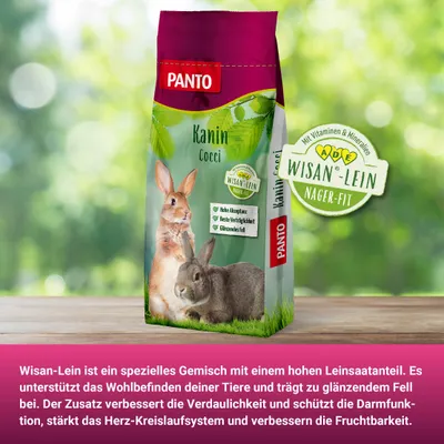 PANTO Kaninchenfutter Cocci – ausgewogenes Futter für Mastkaninchen PANTO Kaninchenfutter Cocci – ausgewogenes Futter für Mastkaninchen