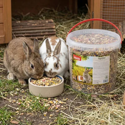 PANTO Nagerfutter Universal – Futter für Nager und Kaninchen