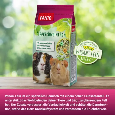PANTO Meerschweinchenfutter - Nagerfutter mit Möhren & Vitamin C