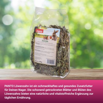 PANTO Löwenzahn - Snack für Nager und Zwergkaninchen